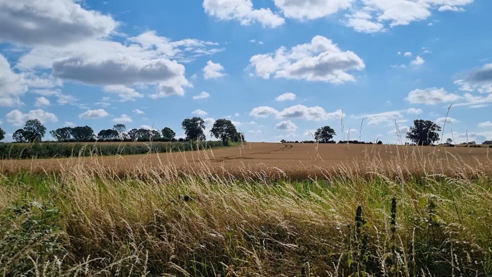 A Quiet Gem Just Outside Oundle 아파트 외부 사진